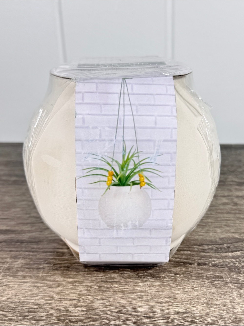 NEW Target Bullseye Playground Hanging Planter Kit